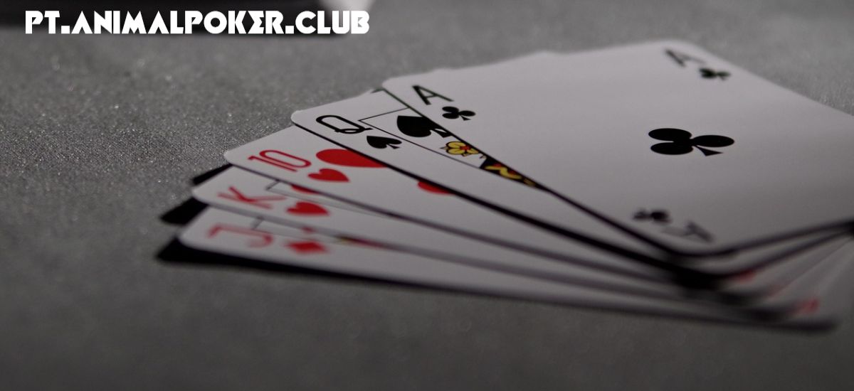 pt.animalpoker.club